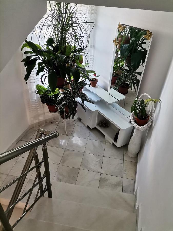 Guest House Konomaevi ソゾポル エクステリア 写真